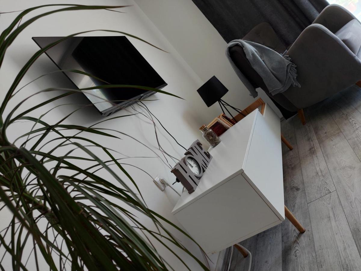 Fenix Apartment & Rooms Vinci Bagian luar foto