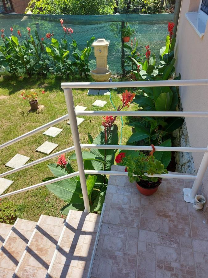 Fenix Apartment & Rooms Vinci Bagian luar foto